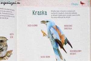 „Elementarz naszej przyrody. Zwierzęta”