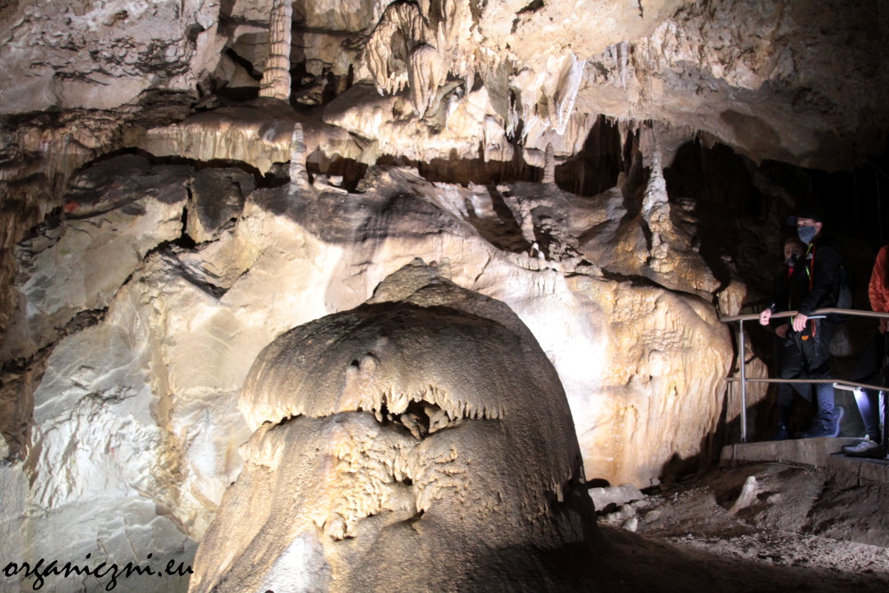 Jaskinia Bielska, Sala Palmowa
