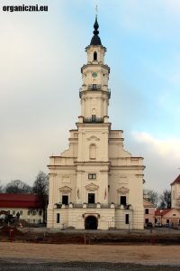 Ratusz w Kownie, zwany Białym Łabędziem