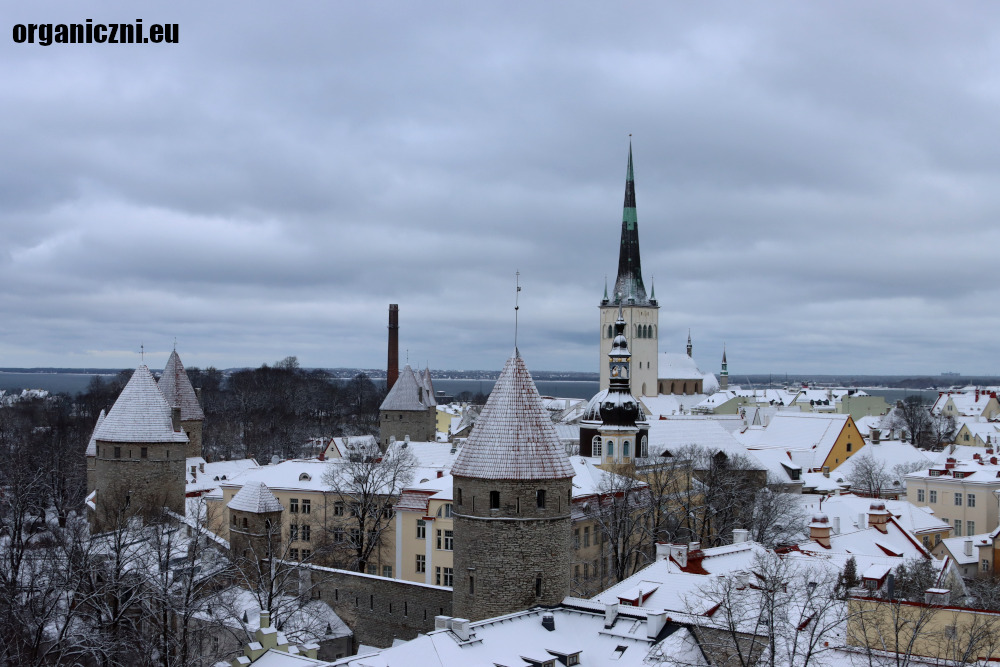 Zimowy Tallin widziany z tarasu widokowego