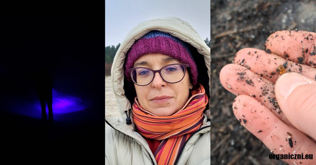 Jesienno-zimowe zbieranie bursztynów, Jantar